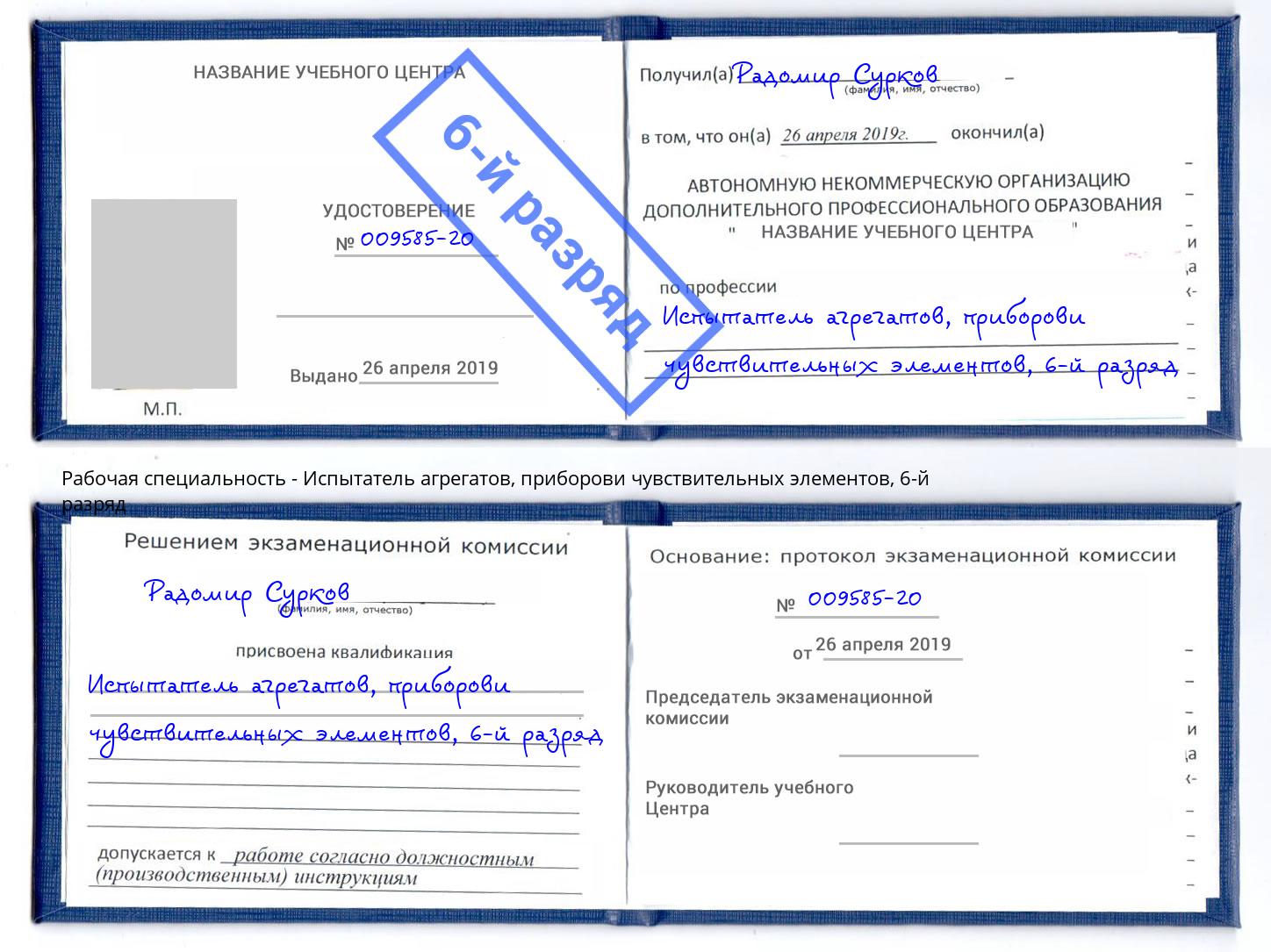 корочка 6-й разряд Испытатель агрегатов, приборови чувствительных элементов Заречный