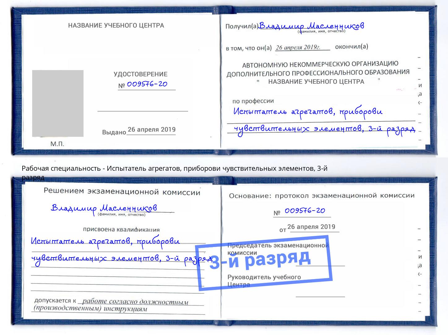 корочка 3-й разряд Испытатель агрегатов, приборови чувствительных элементов Заречный