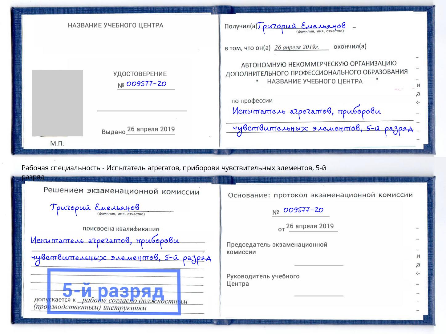 корочка 5-й разряд Испытатель агрегатов, приборови чувствительных элементов Заречный